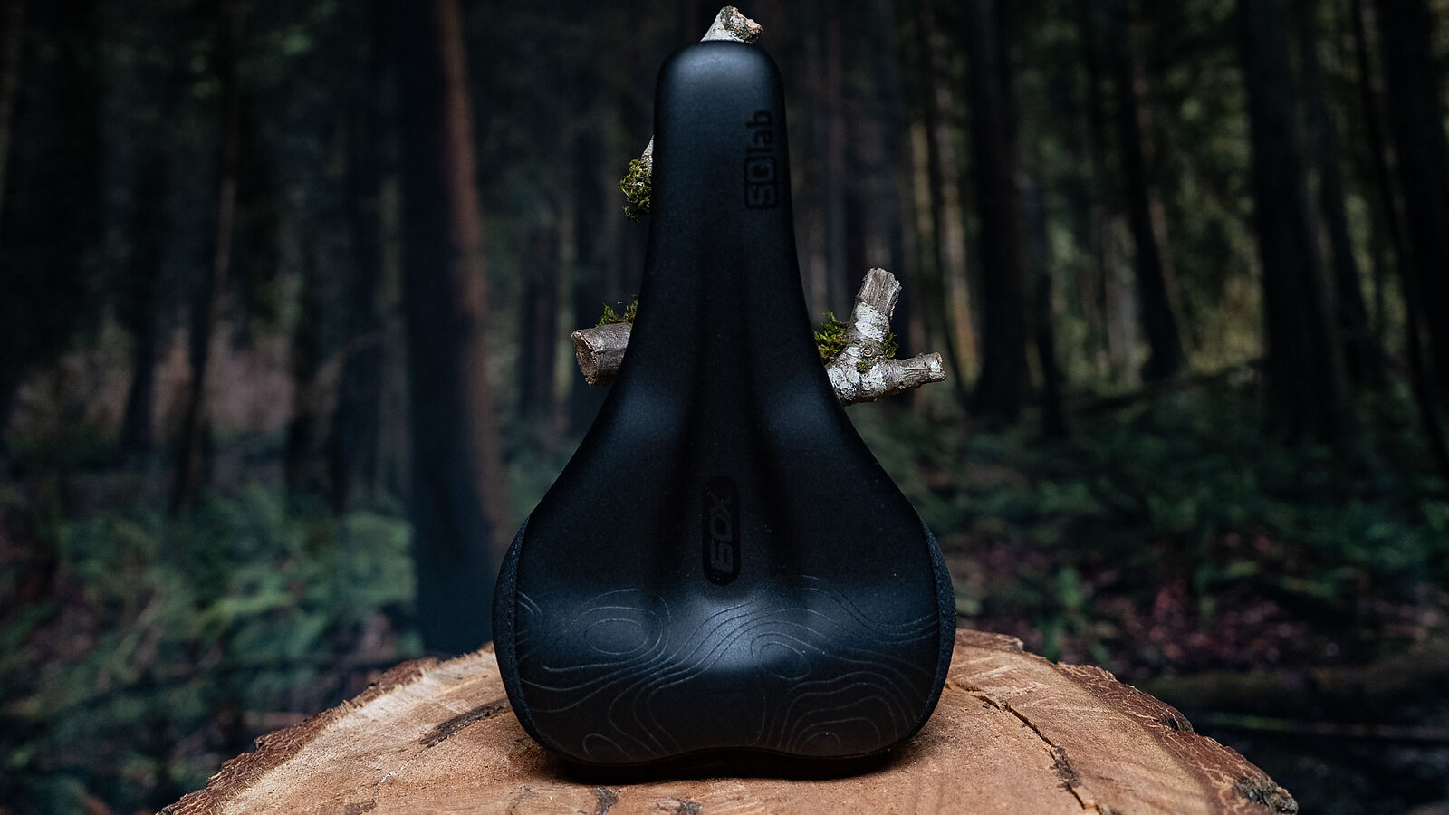 DBK　EXCEL A60 セット All-day comfort. | SQlab 60X ErgoWave Active 2.2 Saddle | Freehub